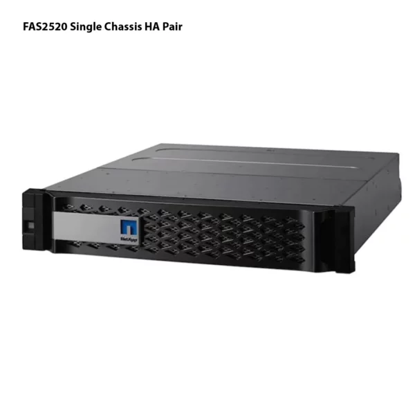 Storage NetApp FAS2520HA